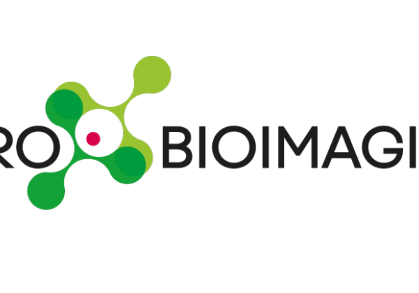 Euro-Bioimaging invites applications for Director of Medical Imaging