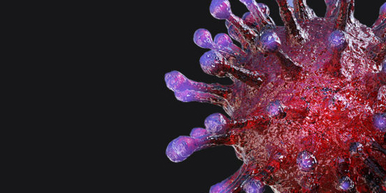 Free lecture by Prof. Josef Penninger on potential COVID-19 treatment